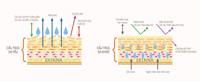 Tăng cường thẩm thấu qua da bằng phương pháp hóa học