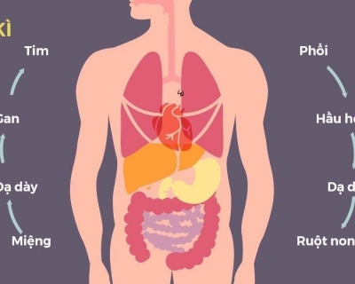 Các Loại Giun Truyền Qua Đất: Bạn Đã Biết Chưa?